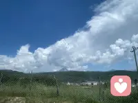 朋友们，伙伴们，带你们来寻找快乐，碰运气，捡菌子啦！配图