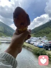 捡菌子的快乐，不在于收获多少，而是漫步林间，拔开松针枯叶，偶遇山间探出头的山野精灵，暂时抛开琐碎心事，听风声，闻泥土草木清香。配图