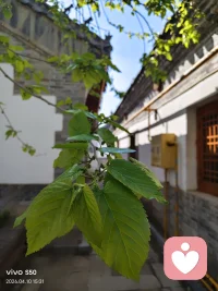 晚安💤配图