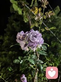 心的格局撑大了
世事自然就变小了
智慧从不是刻意求来的
只是内心留白后
自然而然生出的通透与回响