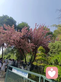 心情不好要多去外面转转，美好风景能治愈你的心。配图