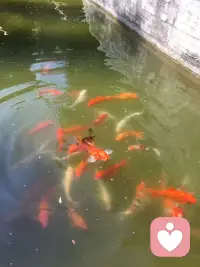 非常开心接触这个平台配图