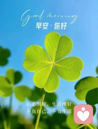 早安，美美的一天配图