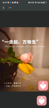 上线了配图