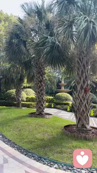 我是一名专属情绪倾听师
愿意做你最安心的情绪树洞
接纳你所有的委屈、迷茫与心事
不用伪装，不必逞强
在这里，你可以肆无忌惮倾诉所有情绪
我认真倾听，温柔陪伴，陪你治愈所有不开心