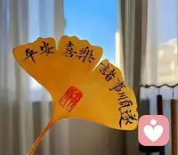 生活里总有说不出口的秘密，自己的小心事，
有些话不敢跟家人讲怕担心惦记，不方便跟朋友说怕不理解反到尴尬
我做你的陌生倾听者
全程保密，绝对守口如瓶
不用假装坚强，不用刻意懂事
开心难过、委屈纠结，都可以随意倾诉
在这里，你可以放心做最真实的自己