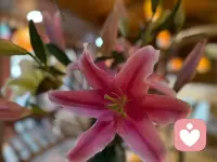 不负时光，不负遇见