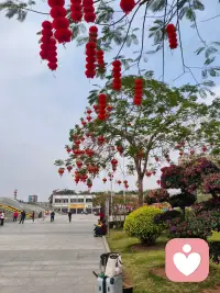 坐等客人来，倾听你的一切配图