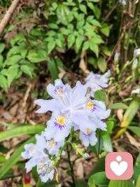 不需要时刻完美，只需要真实。