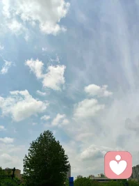 我们就做这世间的一朵云、一缕风，恣意潇洒，游历人间。