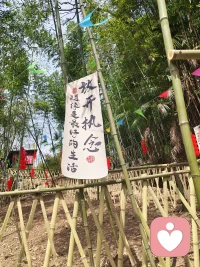 放开执念，随缘是最好的生活。配图
