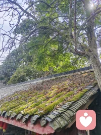 今天的好天气会不会让自己心情好点儿😛配图