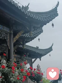 昨晚睡得真不错，今早起床感觉好有劲，这种感觉真棒