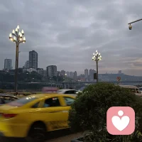 今天的营业就到这里了
谢谢每一位访问的人
周末再聊