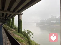 你看

重庆的天气配图