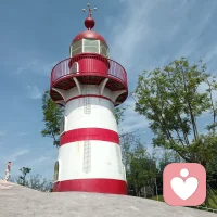 回归大自然配图