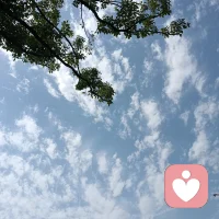 回归大自然配图