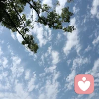 回顾整个《性心理发展与防御机制》课程，我们发现，所有的防御机制本质上都是为了适应生存。依赖型人格的防御图谱，是那个曾经被忽视的婴儿为了活下去而想出的“绝招”。

然而，成长的本质就是不断地放弃旧有的防御，发展出更成熟的适应方式。治疗的目标不是让小林变成一个不需要人的孤岛，而是让她从“寄生式的依赖”走向“成熟的相互依赖”。配图