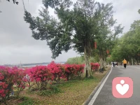 允许自己：

考不好、爱错人、赚不到大钱。

人生不是轨道，是旷野。

我是安禾盈心，一名倾听师，陪你在旷野里散步，不赶路。🍃

停止内耗 #自我接纳 #心灵疗愈