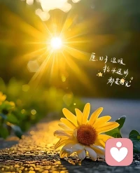 . 晨光鸟鸣开启新一天倾听工作。很多心事难以和亲友开口，

憋在心里日渐压抑，需要一个安全的倾听者，

#我在给力心理等你倾诉。早安☀️