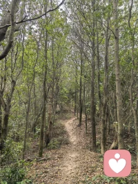 有时候累了，不是非要“变强大”，而是允许自己“停下来”你的情绪，永远值得被自己认真倾听。心里下小雨的时候，别忘了你才是自己的太阳，今天也要对自己温柔一点。配图