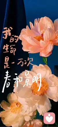 愿意当个树洞，更相信没有什么是过不去，什么都能解决配图