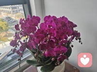 受伤后依然可以做个快乐的自己