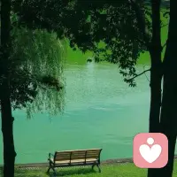 你不需要活成别人期待的样子，你只需要活成自己喜欢的样子。如果你正陷入自我怀疑、自卑内耗，随时找我，我陪你一起，重建自信，找回自己。