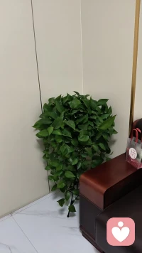 很高兴能成为您的倾听伙伴。我热爱倾听，相信每一份倾诉都值得被认真对待。无论您面临何种困扰，我都将以真诚、温和的态度陪伴您，让您在这里感到安心，能够自由地表达自己的想法和感受。”配图