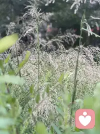 在快节奏的生活里，我们往往忽略了身边美好的点滴，从而让生活失去了色彩。这时不妨给生活踩刹车，让节奏慢下来，我们会发现，人生将大不相同。配图
