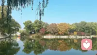 有些人总喜欢“吃着碗里的看着锅里的”，永远不知道满足，其实我们冰箱里储存的零食，家中等待主人回来的宠物，手机里未读的家人消息，这些我们习以为常的画面，可能是一些人眼里的奢望，不要让欲望偷走此刻的温存，当我们懂得对眼前的灯光微笑，就会发现，知足的日子，每一天都是最好的时光。配图