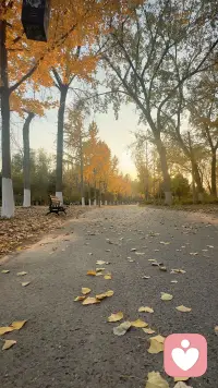 养孩子的最终目的不是为了孝顺、也不是成才，而是让他从容地离开你，去过好他的一生，你供他读书看世界，不是为了让他出人头地，光宗耀祖，而是让他有底气选择自己喜欢的生活，我们总说养儿防老，可真正的养育是一场得体的退出，从他蹒跚学步松开你的手，到他背起行囊，奔赴远方，每一步都是为了让他拥有独立的底气，只要他能安稳顺遂独当一面，那便是为人父母，交的最好的答卷。配图