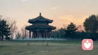 这世上没有两片相同的树叶，也没有两个完全相同的人生，他人的地图，无法给你指引人生方向；别人的答案,解不开你的人生命题。人生并非单选题，不存在标准选项，相信自己的判断：我们就是自己的最优解。配图