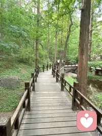 “自卑不是你的错，但一直活在自卑里，就是你的选择了。”很多人都被“自卑”的荆棘拦住过脚步，但在这看似脆弱不堪的表象之下，或许正藏着最炙热的期待。人生这场修行，不是要一根根拔掉这些刺，而是学会把它们变成守护光芒的盾牌。配图