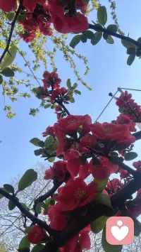 一生中与你相处时间最长的是就你自己，如果连你自己都不重视自己的感受，那真的不会再有人站在您这边了。所以在脑海里刻薄的自责，逼自己超负荷的工作，或是用别人标准来衡量贬低自己时。都是帮别人来残忍的欺负自己，你永远是自己生机勃勃的战友，而不是别人投射在你身上的幽灵🌻配图