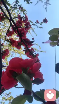 人只要卯足了劲往前走就一定会有新的东西在前面等你，甚至比那些错过的懊恼的还要好一万倍，不要总是揪着那些正在慢慢消耗的东西不放，也不要沉溺在那些早就已经预料到会失去的人和事情里面纠结，除了耗尽自己什么用都没有，有些东西留不住就是留不住，有些遗憾过去了就是过去了，时间是一条单行河，它从不倒流，只推着你向前走，只要你下定决心往前冲，一门心思的让自己变优秀，专注搞事业，练技能，提认知，未来的你绝对不会比现在这个纠结内耗的自己差半分，那些新的机遇，只会比过去更加适合你，更滋养你！配图