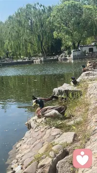 小事不必决策，直接就去做，干脆一点，想到就去做，做完就放下，最累人的从来不是事情本身，而是行动之前那些反复的纠结，和思想的拉扯，事情还没干，心力就先耗光了，古人讲当断不断，反受其乱， 行动是治愈焦虑最好的良药，果断是保养精力最省的方式，所以做人干脆一点，小事不纠结，做完就翻篇，不拖延不内耗，自然精力充沛，状态在线。配图