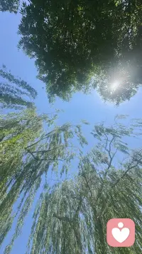 去大自然中充电配图