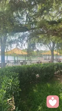 “你总是忙着给所有人撑伞，却让自己淋得浑身湿透。”———我们总是不由自主地滑入讨好的漩涡，企图用无限的付出来博取他人的认同与接纳。然而，这种上瘾的讨好，往往是一场高成本的自我消耗，让我们在不觉中迷失了自我，也丢掉了内心的安宁与快乐。配图