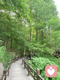 用宏大的世界稀释痛苦，用微小的事物感受幸福。世界不会变，“天地不仁 以万物为刍狗”。我们需要的是看见更多的与自己不同的人事物，明白这个世界有诸多原因、各种为难，我们就会更多理解和释怀。