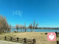 生活从不会对任何人网开一面，但我们却可以选择应对的方式，与其做易碎的琉璃，不如做柔韧的橡胶———既能承受敲打，又耐得住摩擦，更懂得将压力转化为前进的反弹力
         愿你的心，既有软肋，也有铠甲；既能细嗅蔷薇，也能乘风破浪。