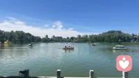 有人说：“放过自己，比原谅别人更难。”生活中，我们总对曾经的过错耿耿于怀，老想着“要是当初………就好了”，却忘了爱自己的第一步，就是学着温柔的包容那个会犯错、会脆弱，但始终在努力的自己。