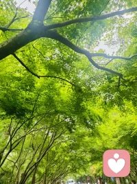 天气好，心情好，一切都会好。即食现在有困惑，也会慢慢变好。配图