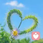 玻璃心。易碎i的头像