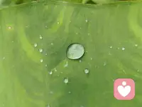 放下对“被理解”的期待。不是所有人都会懂你。不是所有事都要说清楚。有些话，说给自己听就够了。配图