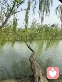 人的一生总会经历磕磕绊绊，我不可否认，有些弯路要自己走，才能更深刻的体会其中的道理。你可以去痛去爱，也可以趁早洞悉人生真相。当真相在你的生活中被验证为真理，变成了你的人生经验，你的余生将会活得更加的通透。难得来人间一趟，何不真情热烈的活好你的一生。配图
