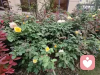 低谷期是老天爷在救你。
大多数人在30~45岁中间会经历一次渡劫，要么是重大疾病，要么感情创伤，要么家庭破碎，要么失业或创业失败，要么欠下巨债等等。当一个人经历低谷期，看清世界的真相后，他笃定的一切都会崩塌，人生会陷入一片迷茫。大多数人选择认命，而不愿认命的人也渐渐迷失。只有极少数人以一种旁人无法理解的方式，不断的对他发起无声的对抗。所以，珍惜你的低谷期，因为低谷期，你身边所有的一切都是真的，低谷期，身边全是鬼。身处低谷，其实是老天在渡你，是老天在救你的命。如果老天爷想送你一个大礼物，一个好机遇，但又怕你接不住，他就会把你拖向低谷期去磨练。低谷期，你一定能看清身边。到底哪个是人，哪个是鬼？当你熬过这段时间之后，就会悟出很多好的东西来，就知道浴火重生是什么感觉，你就会觉得忽如一夜春风来，千树万树梨花开。