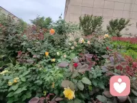 低谷期是老天爷在救你。
大多数人在30~45岁中间会经历一次渡劫，要么是重大疾病，要么感情创伤，要么家庭破碎，要么失业或创业失败，要么欠下巨债等等。当一个人经历低谷期，看清世界的真相后，他笃定的一切都会崩塌，人生会陷入一片迷茫。大多数人选择认命，而不愿认命的人也渐渐迷失。只有极少数人以一种旁人无法理解的方式，不断的对他发起无声的对抗。所以，珍惜你的低谷期，因为低谷期，你身边所有的一切都是真的，低谷期，身边全是鬼。身处低谷，其实是老天在渡你，是老天在救你的命。如果老天爷想送你一个大礼物，一个好机遇，但又怕你接不住，他就会把你拖向低谷期去磨练。低谷期，你一定能看清身边。到底哪个是人，哪个是鬼？当你熬过这段时间之后，就会悟出很多好的东西来，就知道浴火重生是什么感觉，你就会觉得忽如一夜春风来，千树万树梨花开。