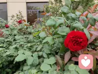 低谷期是老天爷在救你。
大多数人在30~45岁中间会经历一次渡劫，要么是重大疾病，要么感情创伤，要么家庭破碎，要么失业或创业失败，要么欠下巨债等等。当一个人经历低谷期，看清世界的真相后，他笃定的一切都会崩塌，人生会陷入一片迷茫。大多数人选择认命，而不愿认命的人也渐渐迷失。只有极少数人以一种旁人无法理解的方式，不断的对他发起无声的对抗。所以，珍惜你的低谷期，因为低谷期，你身边所有的一切都是真的，低谷期，身边全是鬼。身处低谷，其实是老天在渡你，是老天在救你的命。如果老天爷想送你一个大礼物，一个好机遇，但又怕你接不住，他就会把你拖向低谷期去磨练。低谷期，你一定能看清身边。到底哪个是人，哪个是鬼？当你熬过这段时间之后，就会悟出很多好的东西来，就知道浴火重生是什么感觉，你就会觉得忽如一夜春风来，千树万树梨花开。