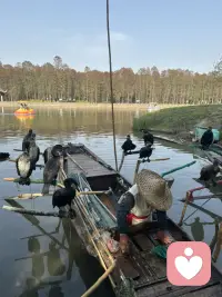 你现在要做的是长时间极致的独处，少言，大量睡眠。
不被灌输周围人的任何观点，极致的专注，按时吃饭，按时睡觉，戒掉你的自恋，少抱怨，少发狂，不要死在自己想象的风暴里。
就这样在这个春季慢慢养出一个全新的充盈的自己。旧人旧事已经开始幻灭，就像花瓣已经掉进土壤，因缘和合下，一切归零，过去的因果已完成，意义已经体现，那片花瓣回归大地，进入下一次轮回。
认栽，承担，及时抽离，不必回应，你也不需要他们了。所有的事都该翻篇了。你已经迈进了新的人生课题。有些新的事情在等着你，你将会走向新的远方，新的旅程，开始全新的世界。这个世界有你主宰，可以是你自己，也可以是天下所有。
治愈你的从来不是时间，而是自己。